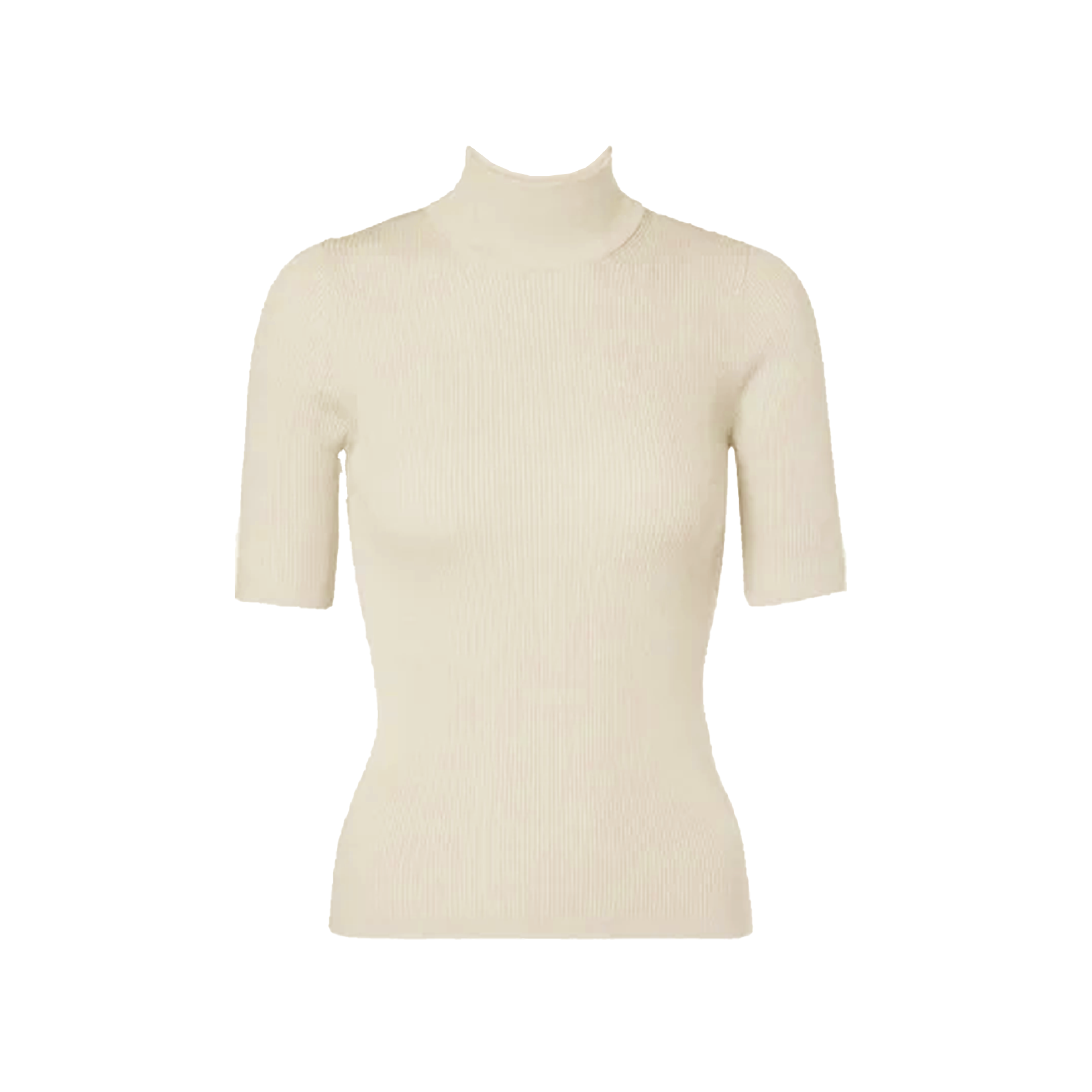 Camisa cuello de tortuga