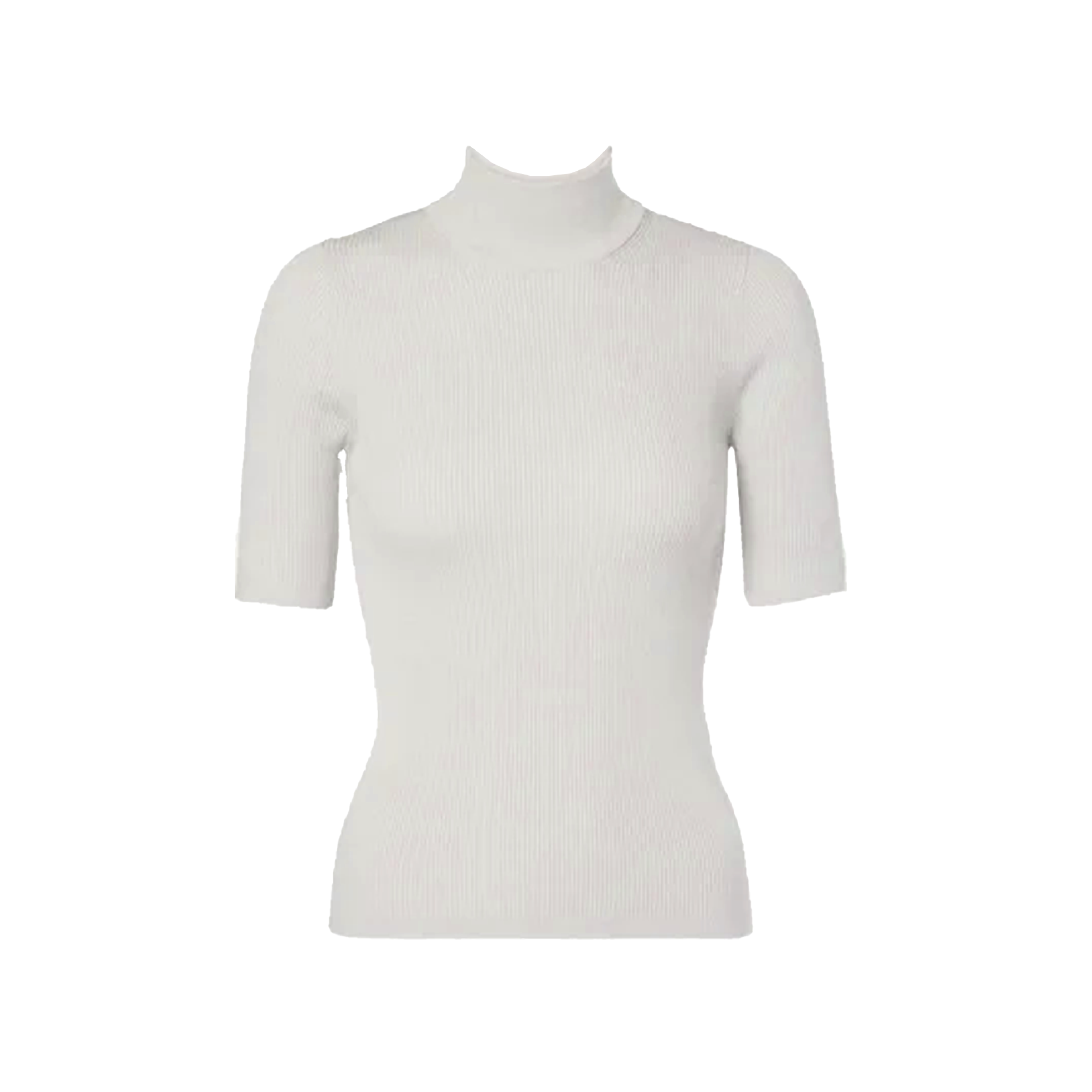 Camisa cuello de tortuga
